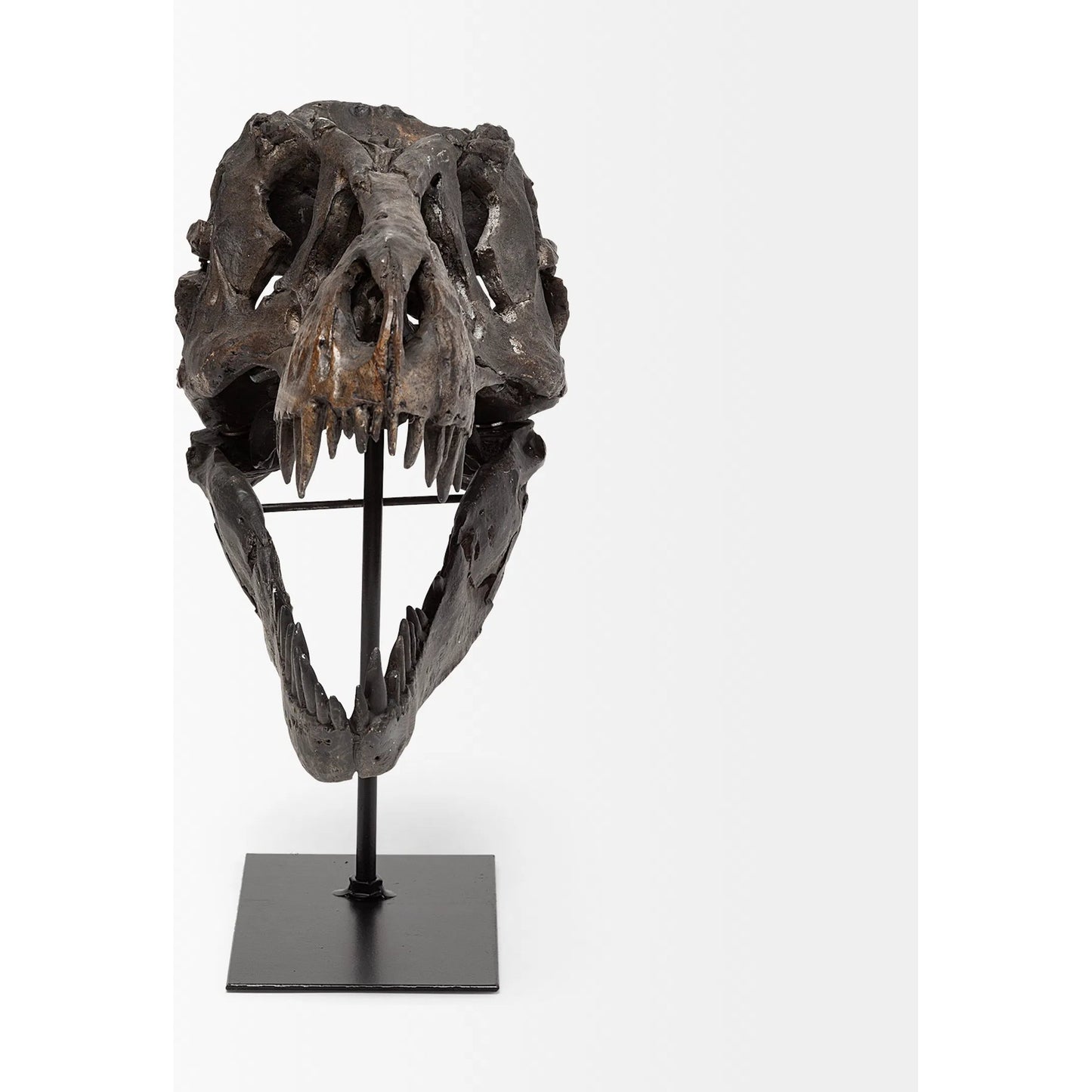 002 SR-815408 | Additional Silo | Jurassic Tyrannosaurus Skull Replica by Mercana in fossilized black. Made from unique in a eclectic & global style.