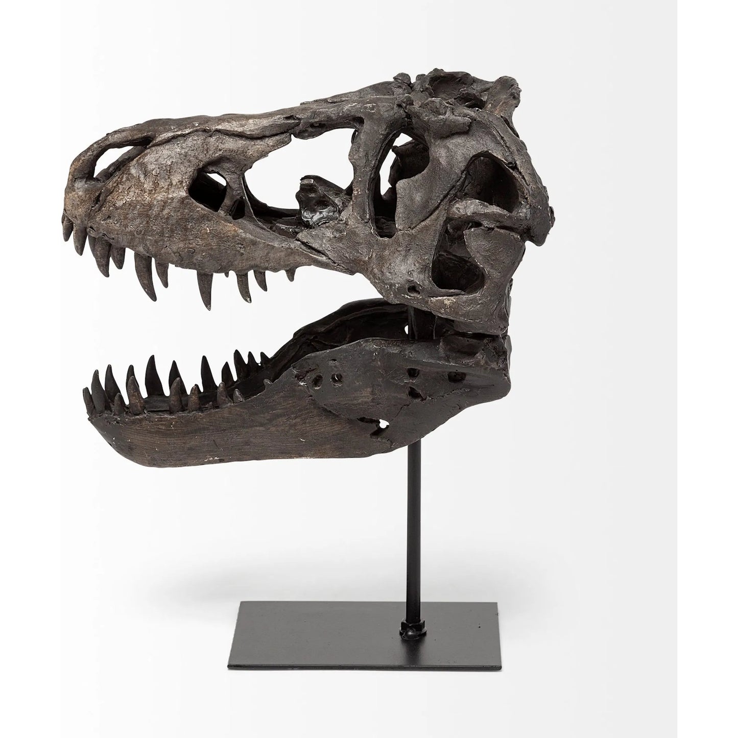 003 SR-815408 | Additional Silo | Jurassic Tyrannosaurus Skull Replica by Mercana in fossilized black. Made from unique in a eclectic & global style.