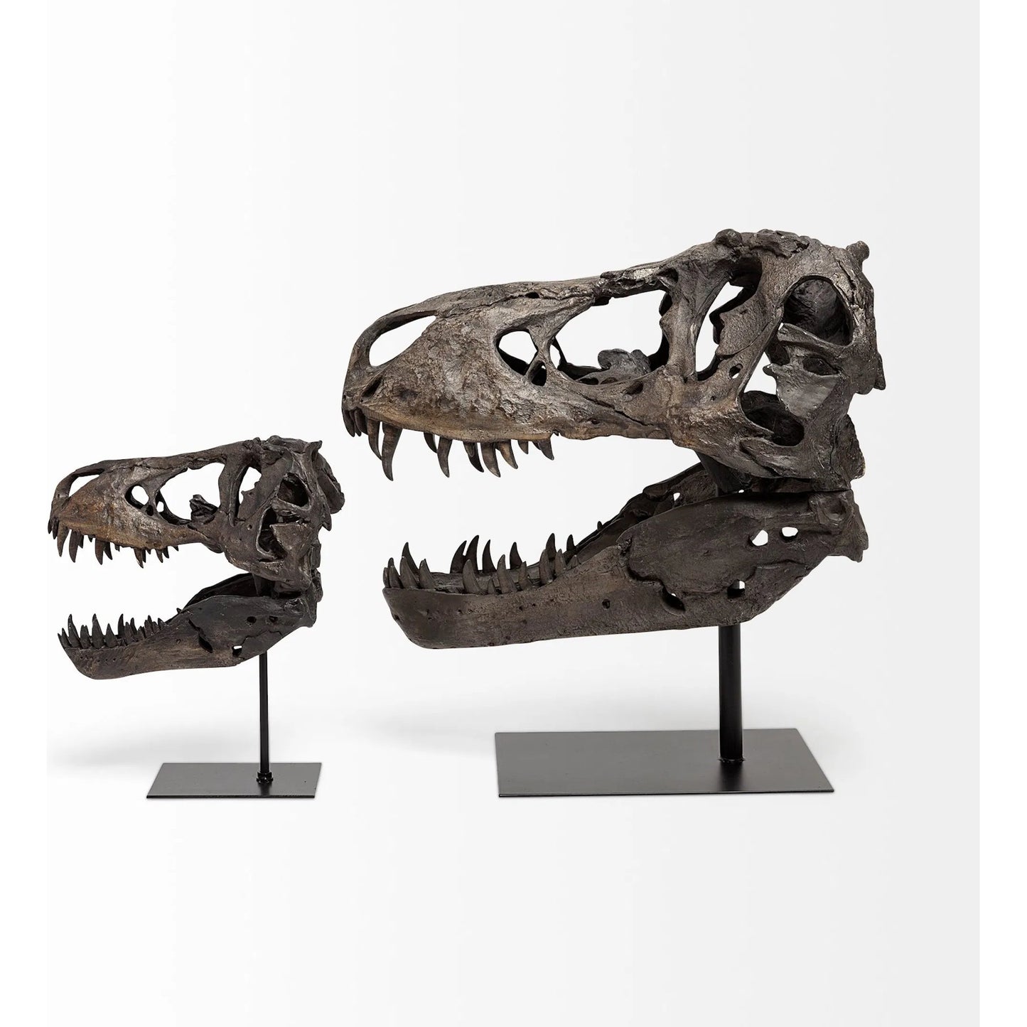 005 SR-815408 | Closeup | Jurassic Tyrannosaurus Skull Replica by Mercana in fossilized black. Made from unique in a eclectic & global style.