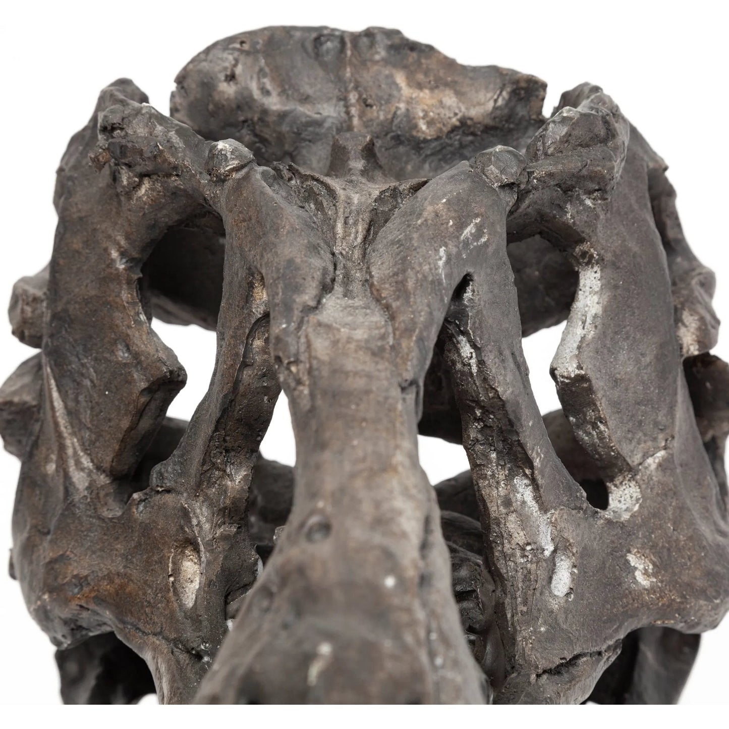 009 SR-815408 | Closeup | Jurassic Tyrannosaurus Skull Replica by Mercana in fossilized black. Made from unique in a eclectic & global style.