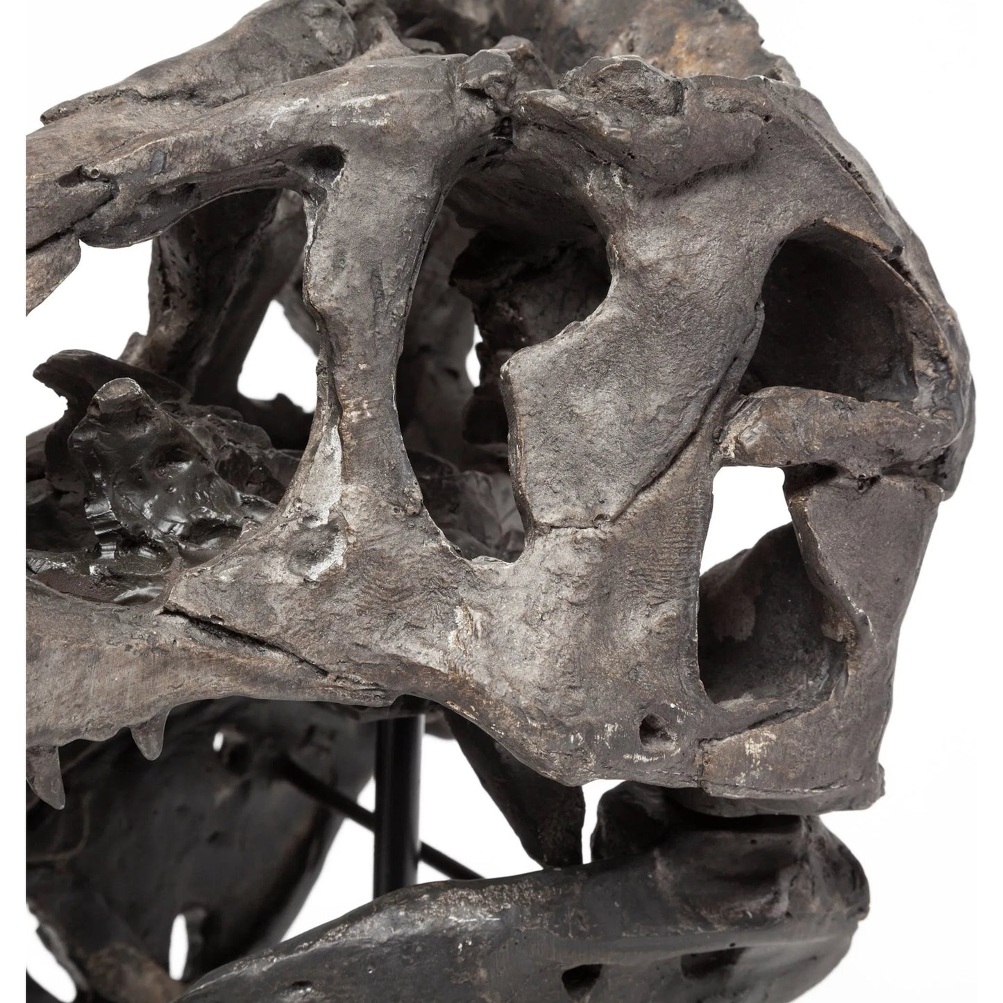 006 SR-815408 | Closeup | Jurassic Tyrannosaurus Skull Replica by Mercana in fossilized black. Made from unique in a eclectic & global style.