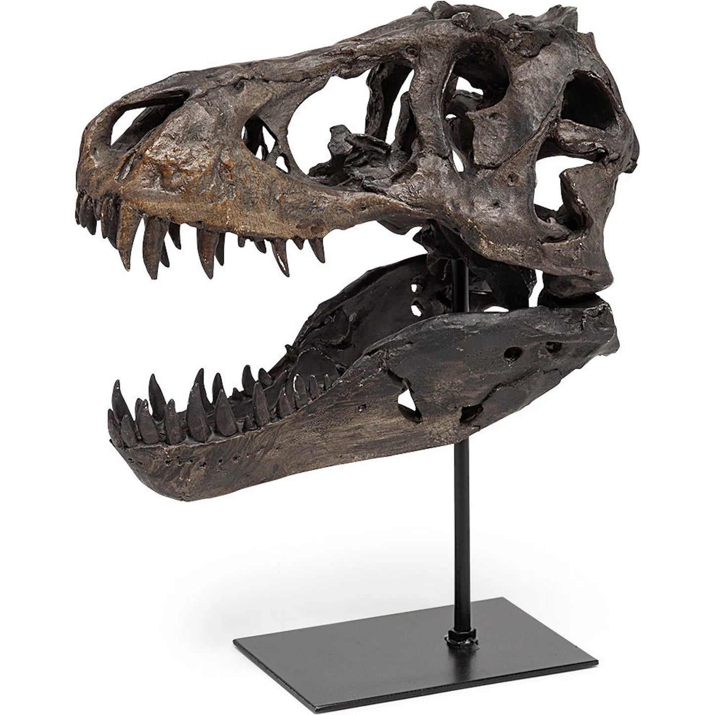 001 SR-815408 | Primary Silo | Jurassic Tyrannosaurus Skull Replica by Mercana in fossilized black. Made from unique in a eclectic & global style.