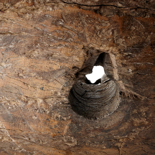 Jemima Sculpture by Cyan Design in rustic, matte black. Made from iron, wood in a eclectic & global style.