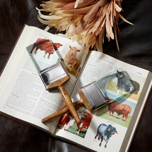 Broad Brush Sculpture by Cyan Design in brown. Made from aluminum - glass - wood in a modern style.