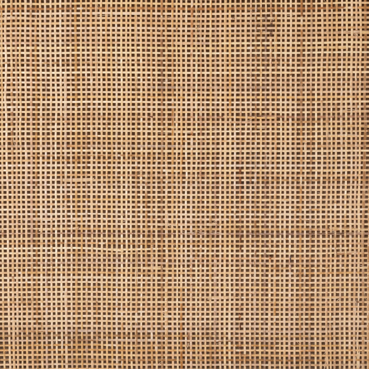007 SI-1714673 | Additional Silo | Caprice Bar Cabinet by Four Hands in natural mango, natural cane. Made from solid mango, cane in a coastal style.