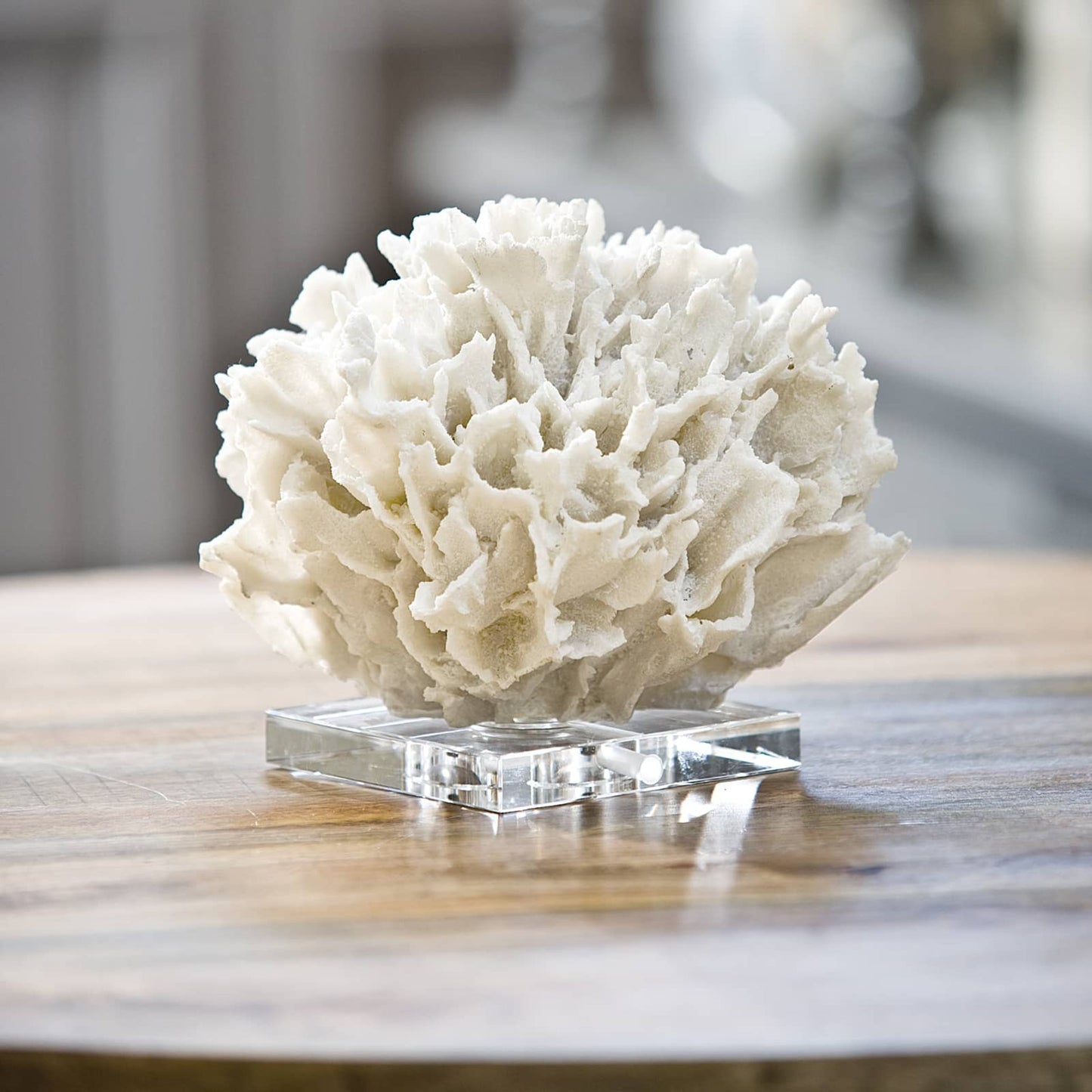 002 S-287222 | Lifestyle | Ribbon Coral by Regina Andrew in white, natural and white. Made from resin in a coastal style.