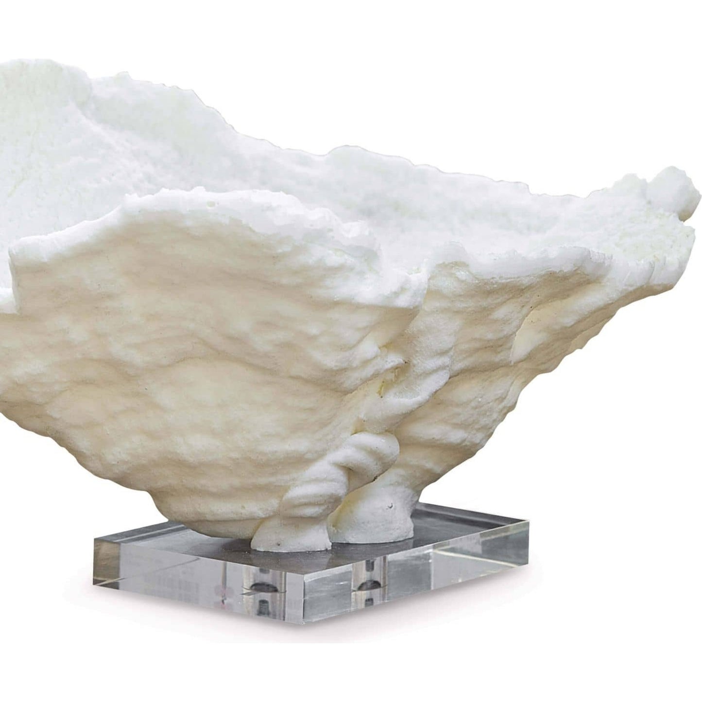 004 S-286828 | Additional Silo | Coral Reef Bowl by Regina Andrew in white, natural and white. Made from resin in a coastal style.