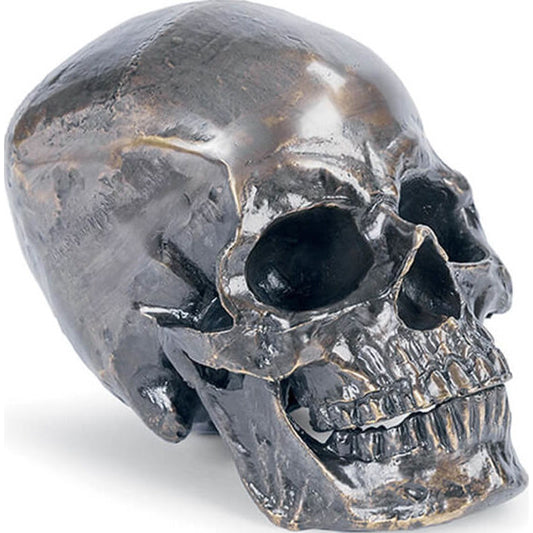 001 S-287068 | Primary Silo | Metal Skull by Regina Andrew in bronze and bronze. Made from aluminum in a modern style.