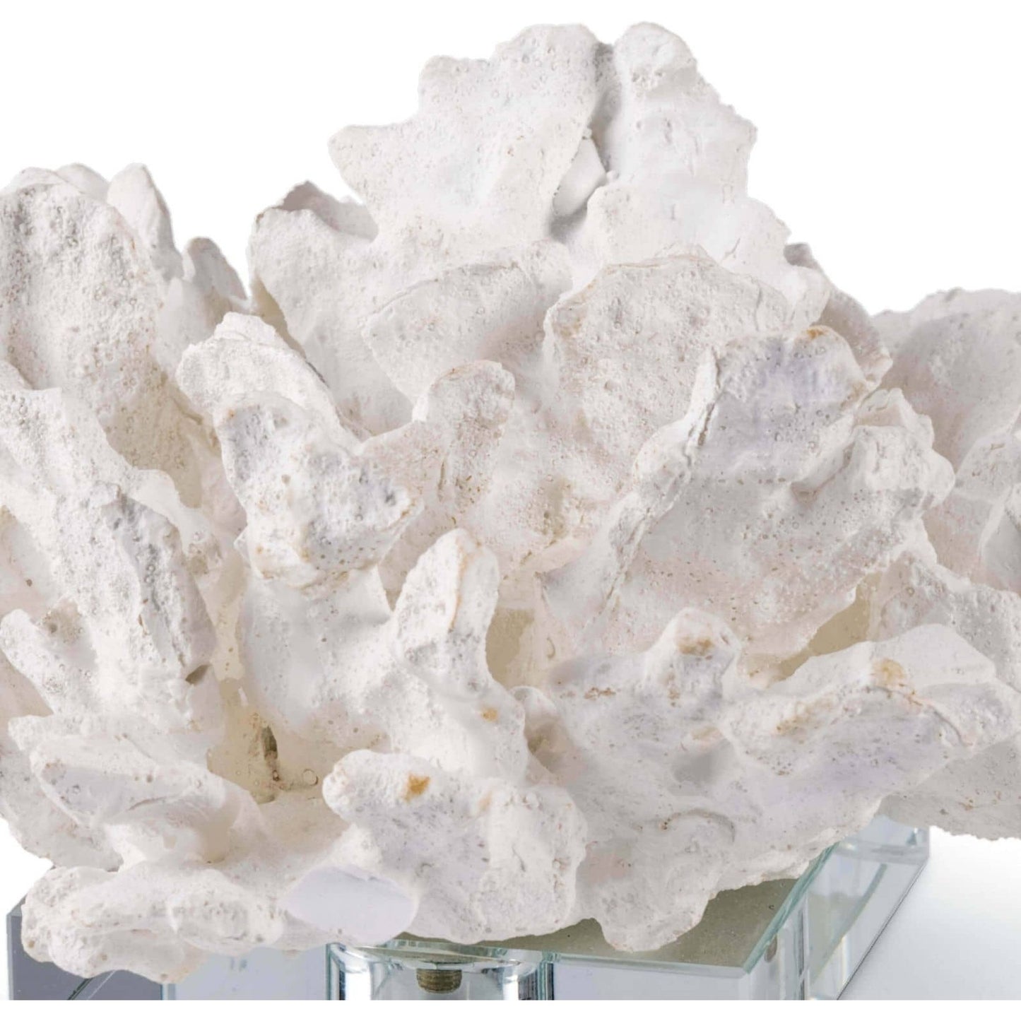 004 S-286910 | Additional Silo | Flower Coral on Crystal Base by Regina Andrew in white, natural and white. Made from resin in a coastal style.