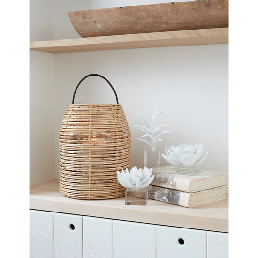 Succulent Resin Sculpture I by Regina Andrew in white. Made from resin in a modern style.