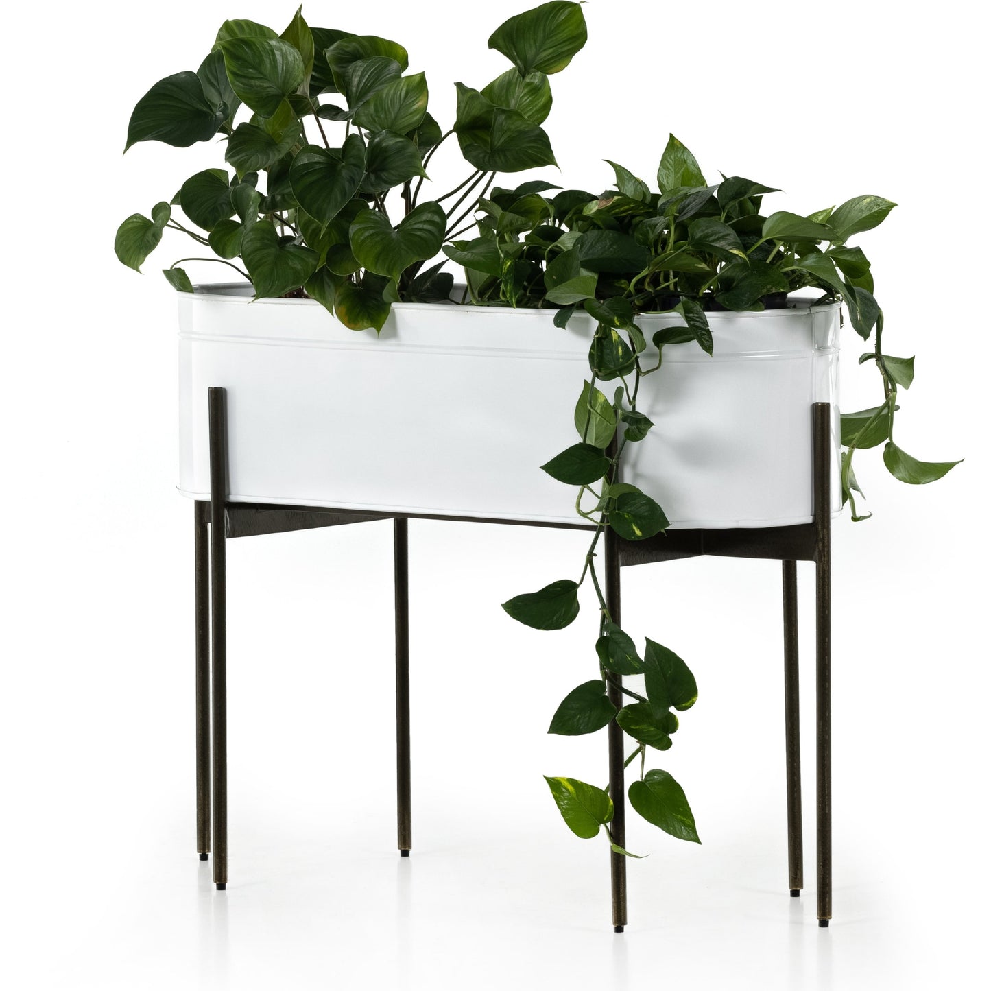 023 SI-1902261 | Closeup | Jed Planter by Four Hands in weathered brass, white high gloss. Made from iron in a transitional style.