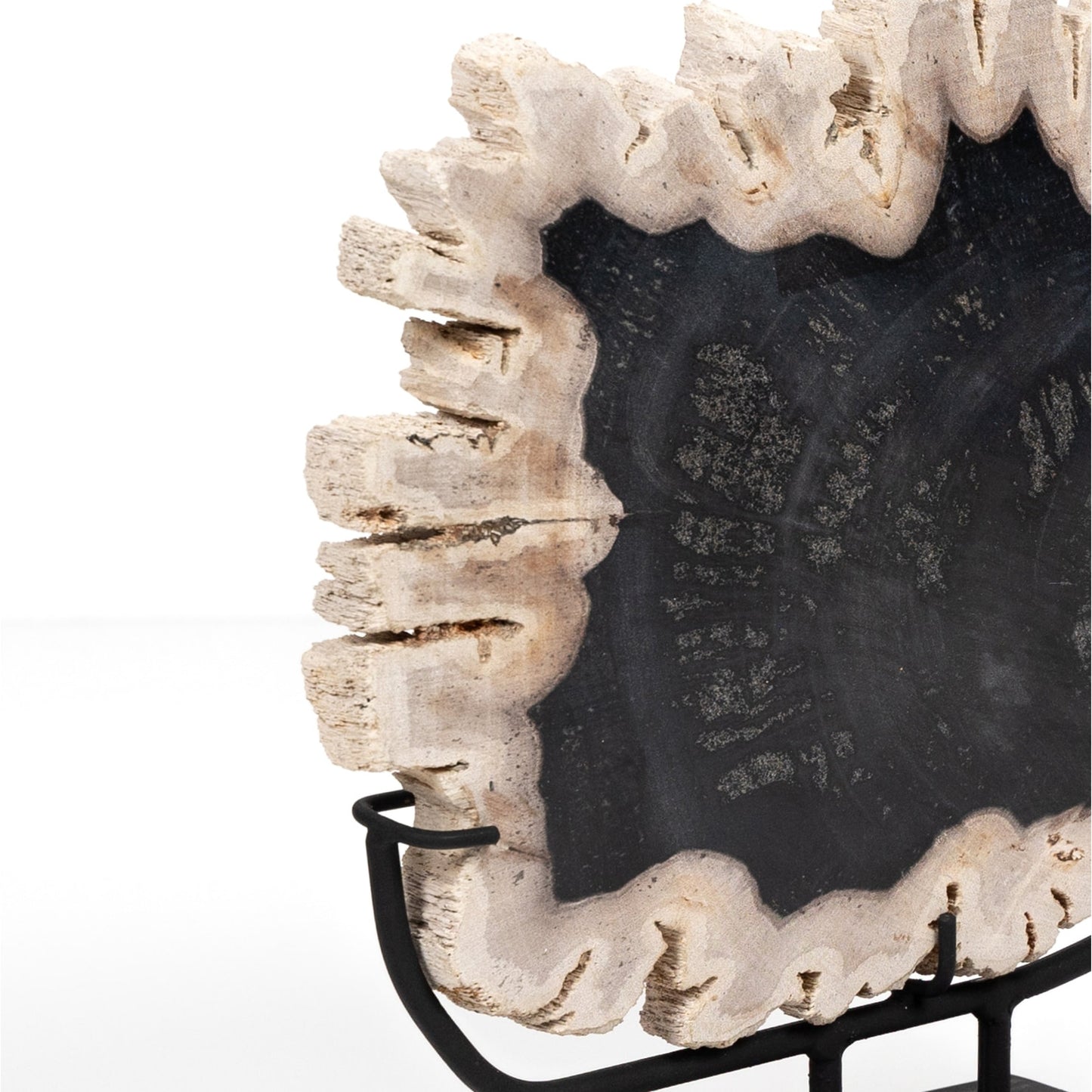 005 SI-1799947 | Additional Silo | Petrified Wood Sculpture by Four Hands in matte black iron, dark petrified wood. Made from iron, petrified wood in a coastal style.