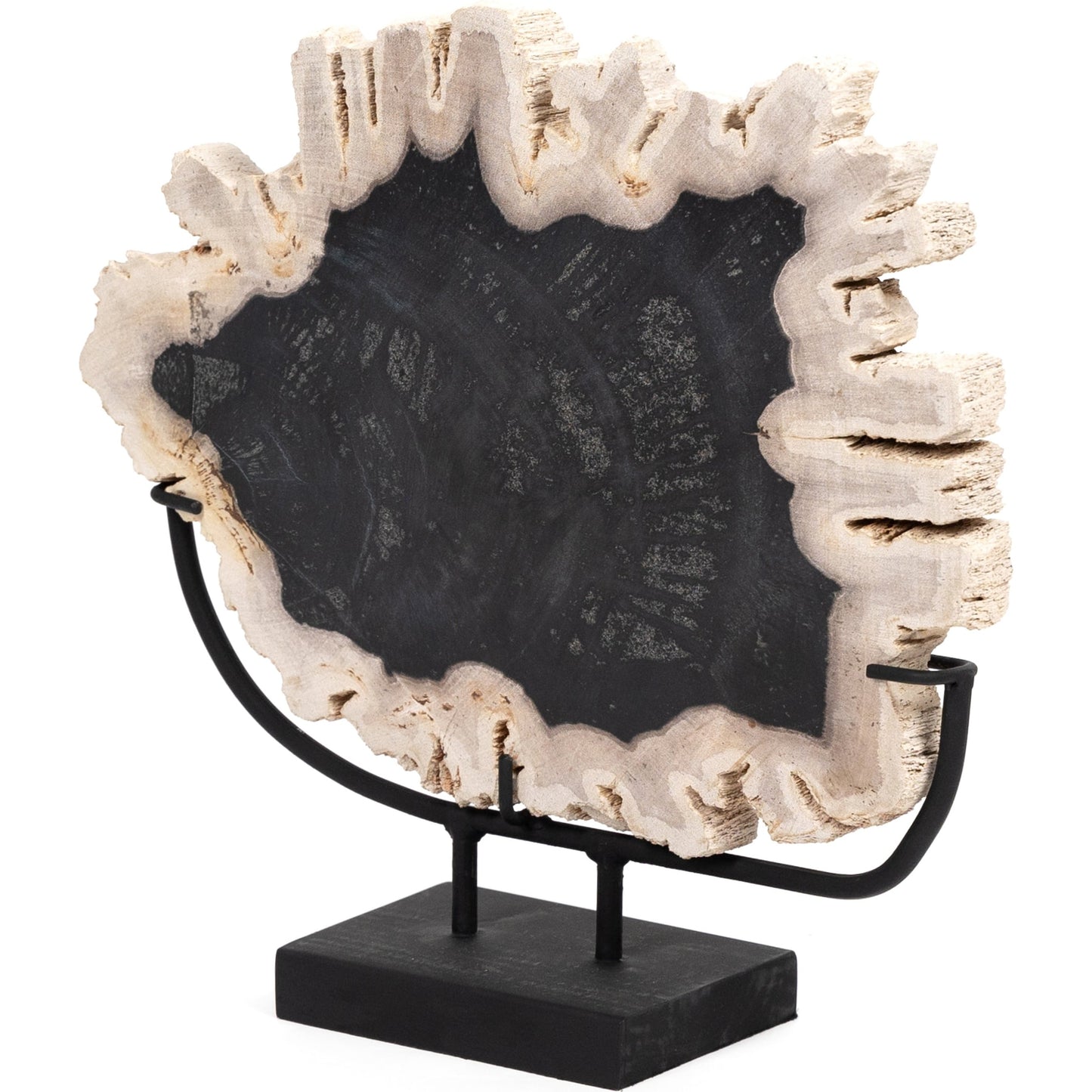 001 SI-1799947 | Primary Silo | Petrified Wood Sculpture by Four Hands in matte black iron, dark petrified wood. Made from iron, petrified wood in a coastal style.