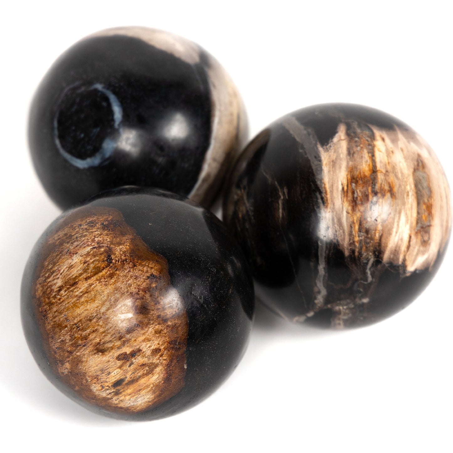 002 SI-1798334 | Additional Silo | Petrified Wood Balls (Set of 3) by Four Hands in dark petrified wood. Made from petrified wood in a modern style.
