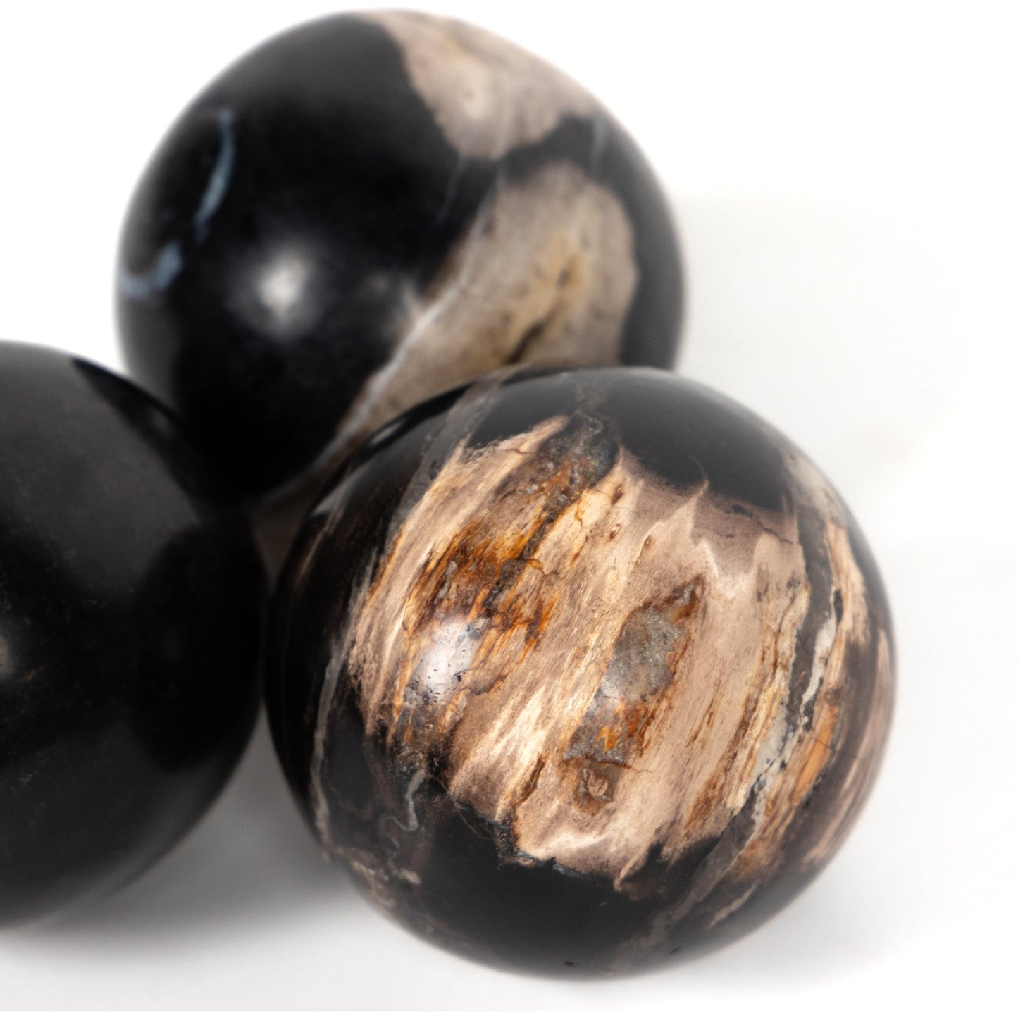 003 SI-1798334 | Additional Silo | Petrified Wood Balls (Set of 3) by Four Hands in dark petrified wood. Made from petrified wood in a modern style.