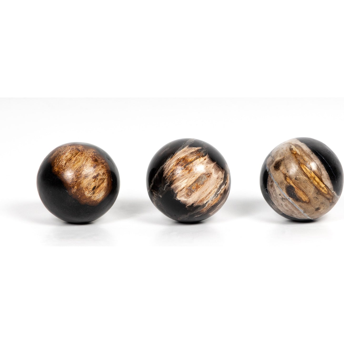 004 SI-1798334 | Additional Silo | Petrified Wood Balls (Set of 3) by Four Hands in dark petrified wood. Made from petrified wood in a modern style.