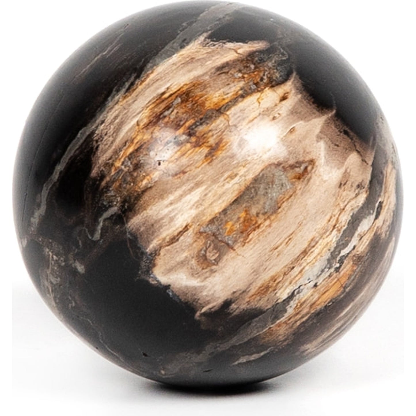 005 SI-1798334 | Additional Silo | Petrified Wood Balls (Set of 3) by Four Hands in dark petrified wood. Made from petrified wood in a modern style.