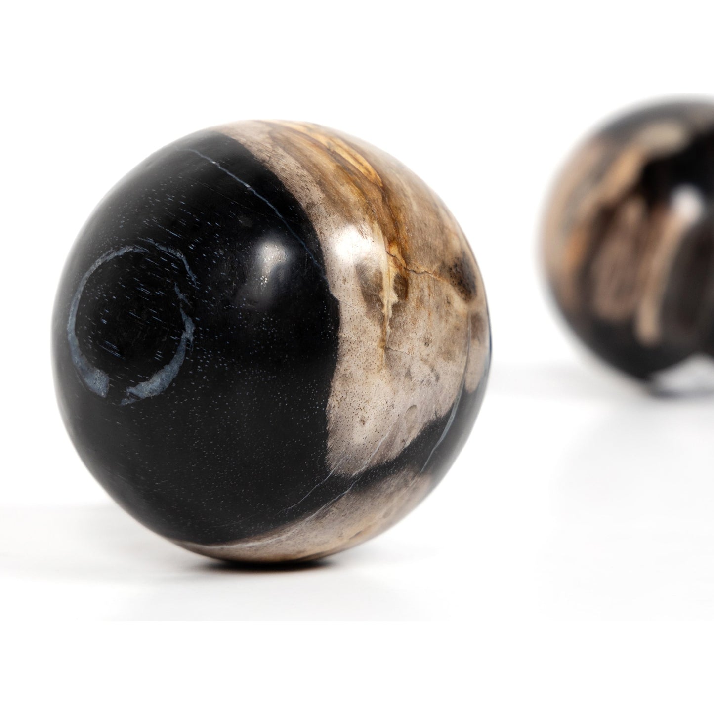 006 SI-1798334 | Additional Silo | Petrified Wood Balls (Set of 3) by Four Hands in dark petrified wood. Made from petrified wood in a modern style.
