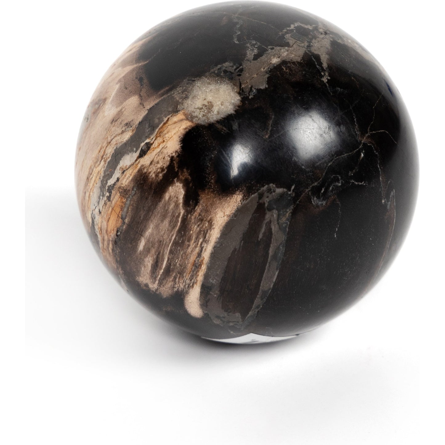 008 SI-1798334 | Additional Silo | Petrified Wood Balls (Set of 3) by Four Hands in dark petrified wood. Made from petrified wood in a modern style.