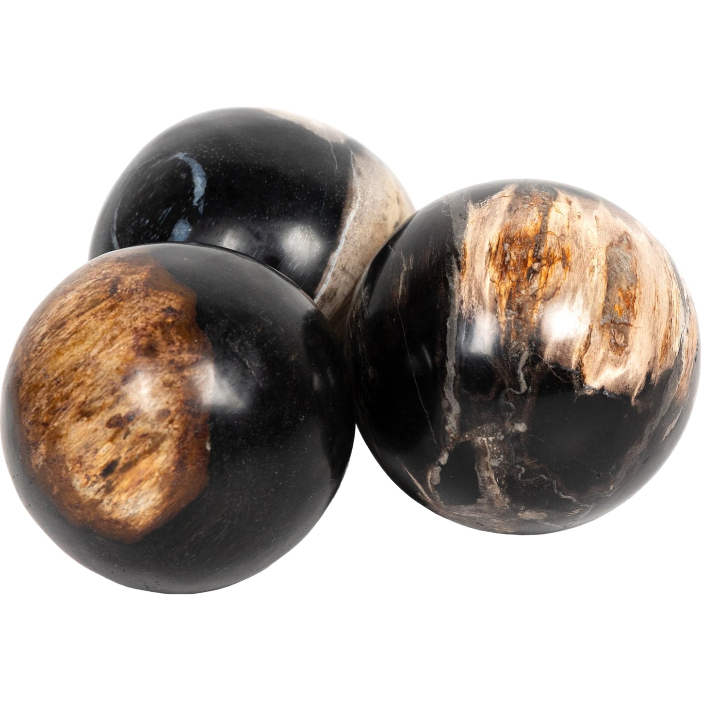 001 SI-1798334 | Additional Silo | Petrified Wood Balls (Set of 3) by Four Hands in dark petrified wood. Made from petrified wood in a modern style.