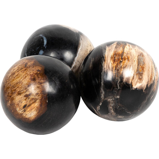 Petrified Wood Balls (Set of 3) by Four Hands in dark petrified wood. Made from petrified wood in a modern style.