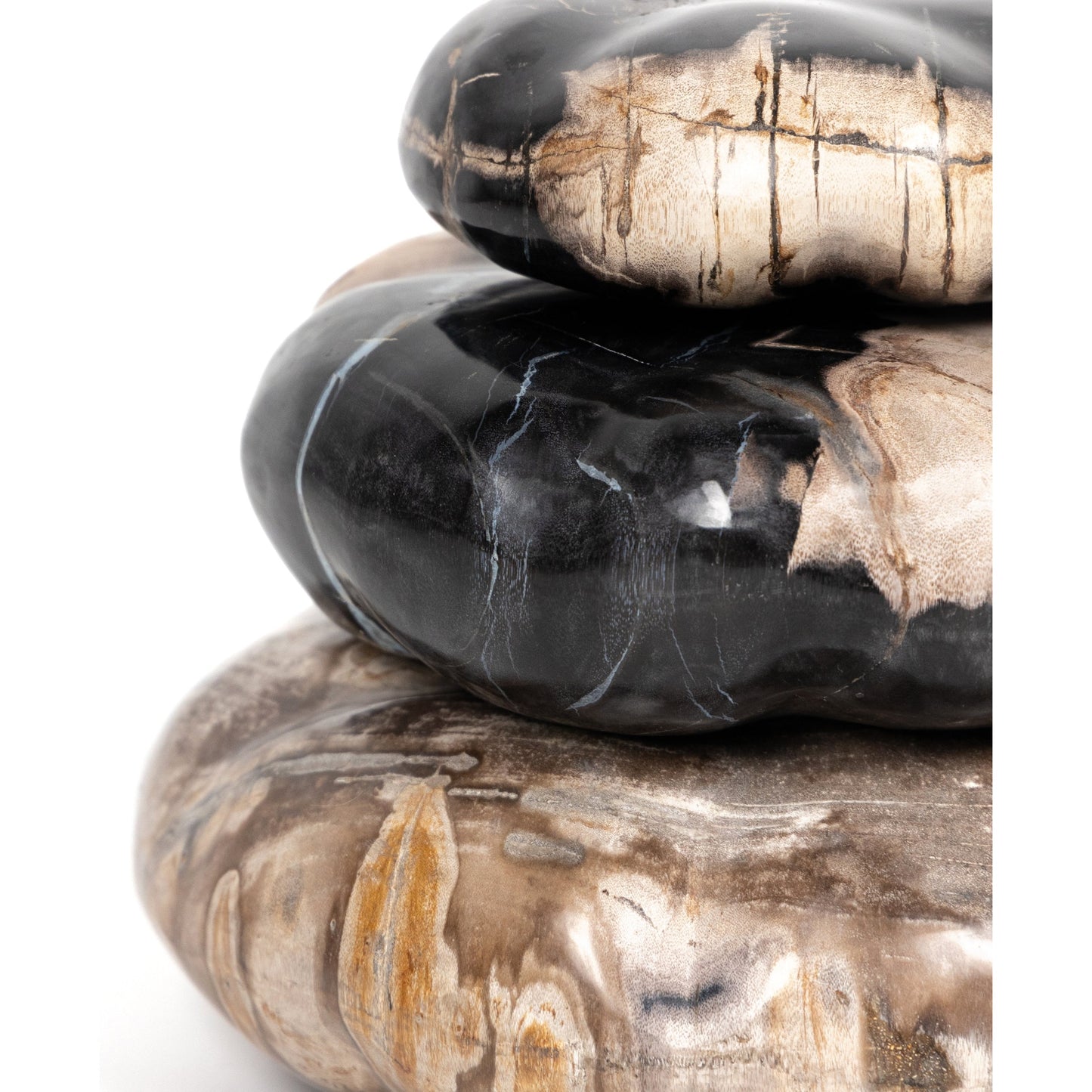 002 SI-1798148 | Additional Silo | Petrified Wood Organic Sculpture by Four Hands in dark petrified wood. Made from petrified wood in a modern style.