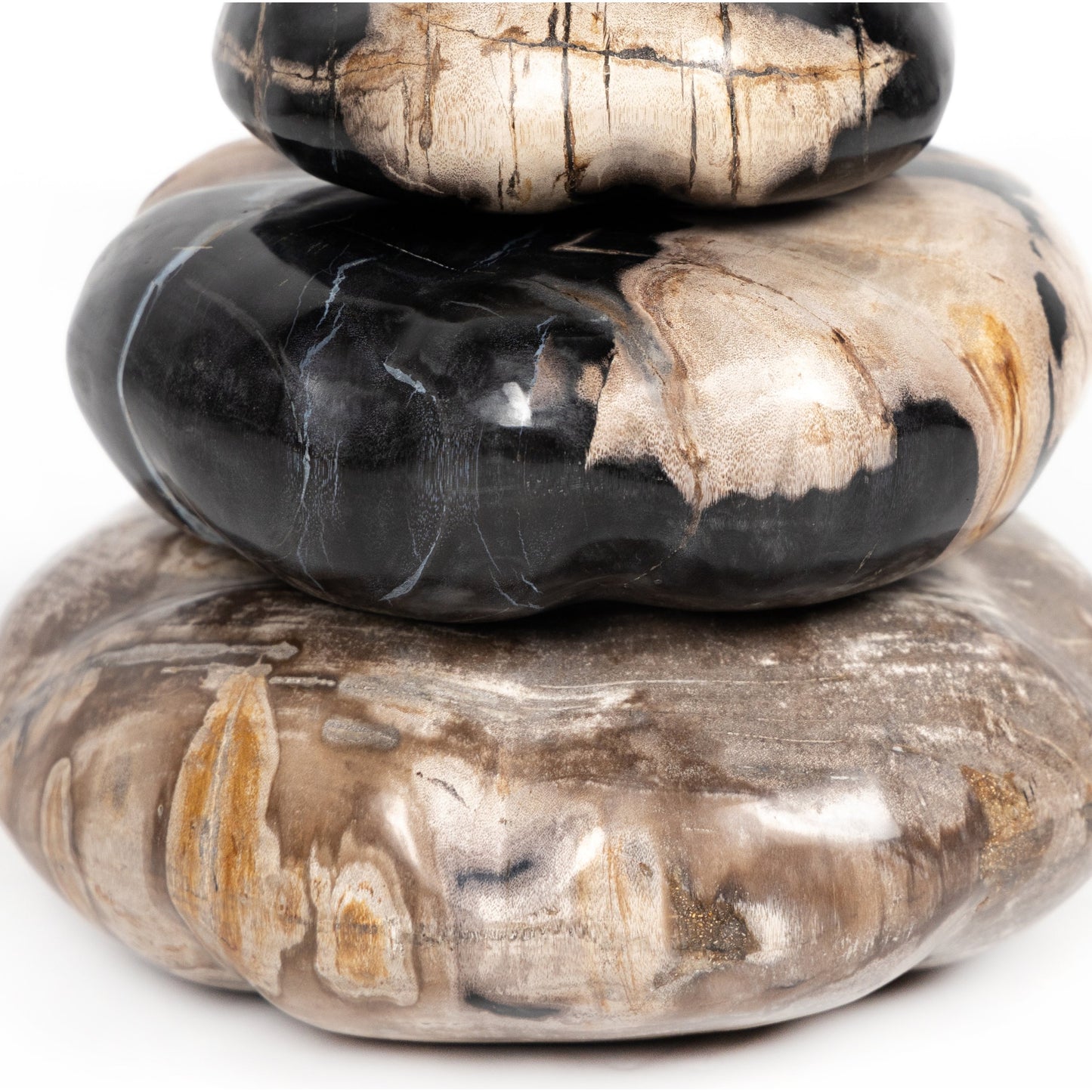 005 SI-1798148 | Additional Silo | Petrified Wood Organic Sculpture by Four Hands in dark petrified wood. Made from petrified wood in a modern style.