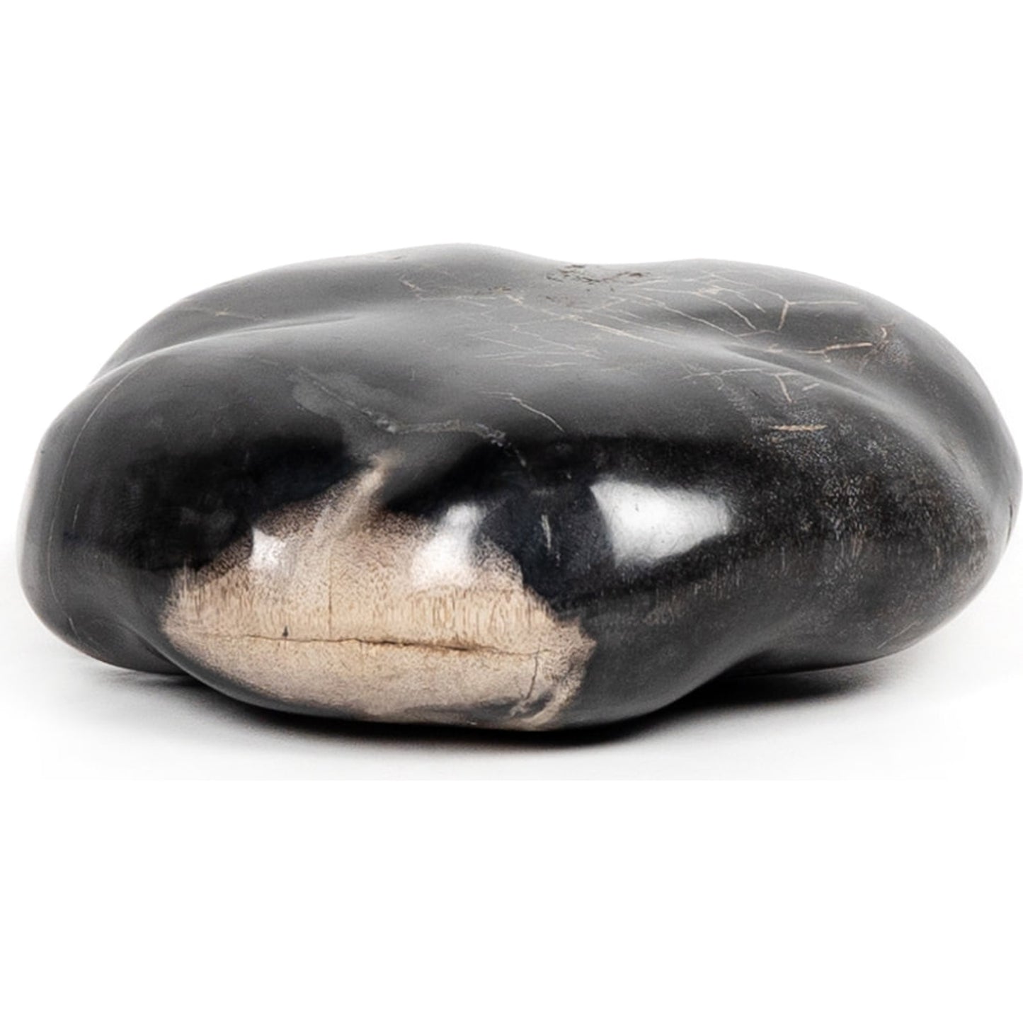 007 SI-1798148 | Additional Silo | Petrified Wood Organic Sculpture by Four Hands in dark petrified wood. Made from petrified wood in a modern style.
