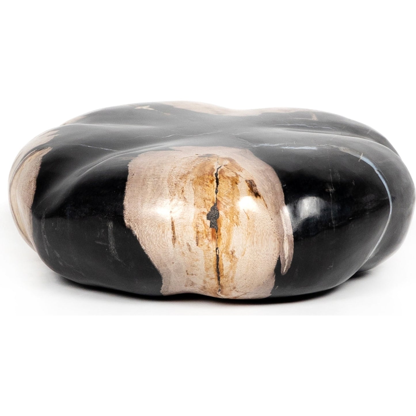 008 SI-1798148 | Additional Silo | Petrified Wood Organic Sculpture by Four Hands in dark petrified wood. Made from petrified wood in a modern style.