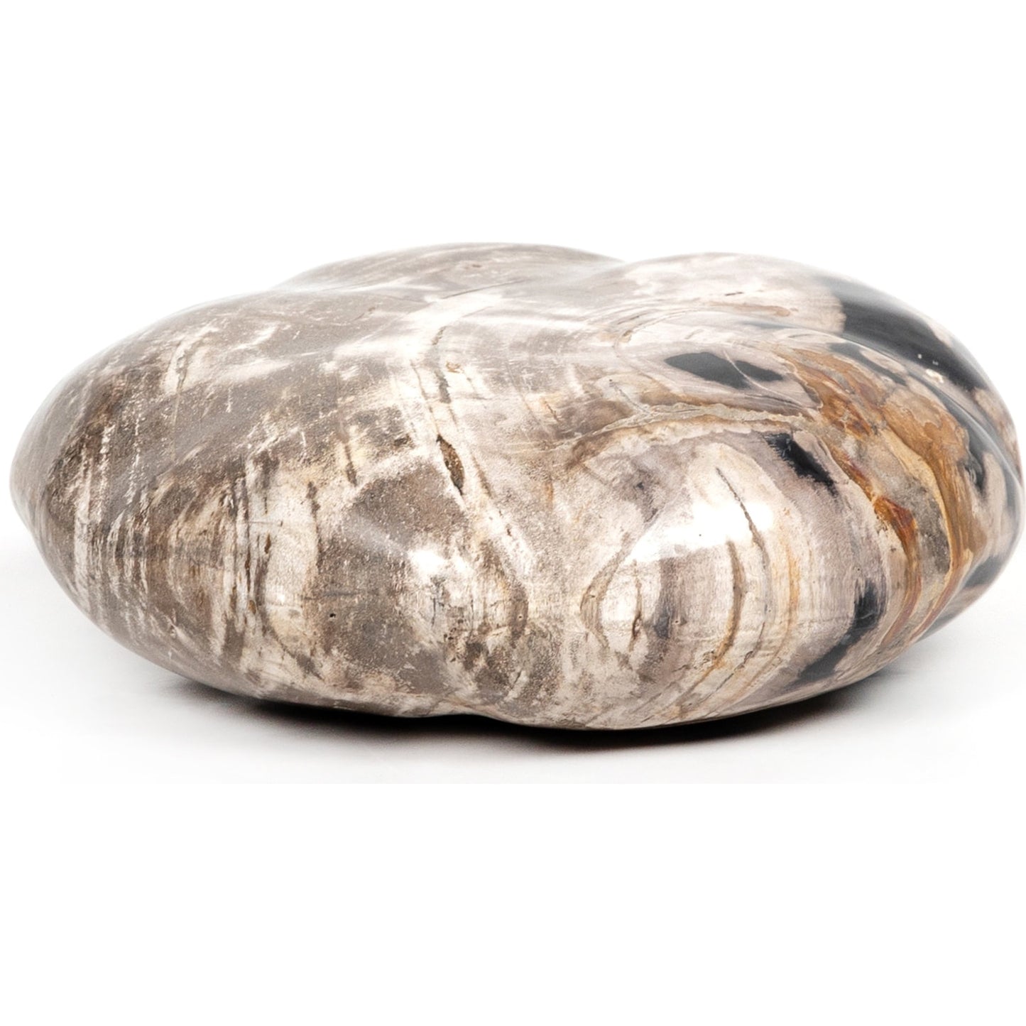 009 SI-1798148 | Additional Silo | Petrified Wood Organic Sculpture by Four Hands in dark petrified wood. Made from petrified wood in a modern style.