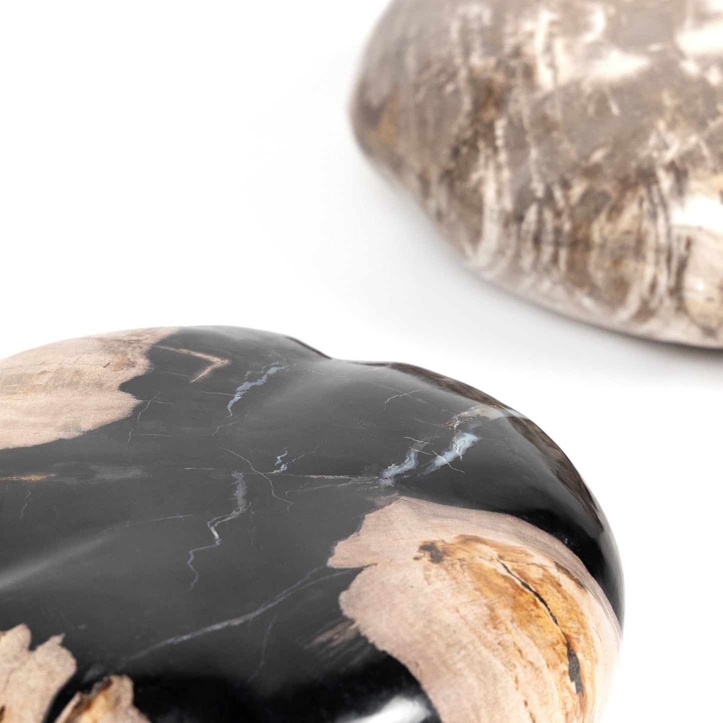 010 SI-1798148 | Additional Silo | Petrified Wood Organic Sculpture by Four Hands in dark petrified wood. Made from petrified wood in a modern style.