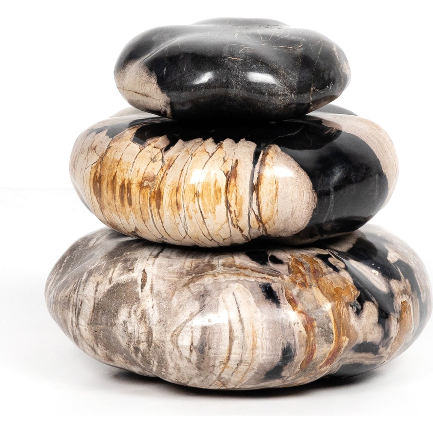 003 SI-1798148 | Additional Silo | Petrified Wood Organic Sculpture by Four Hands in dark petrified wood. Made from petrified wood in a modern style.