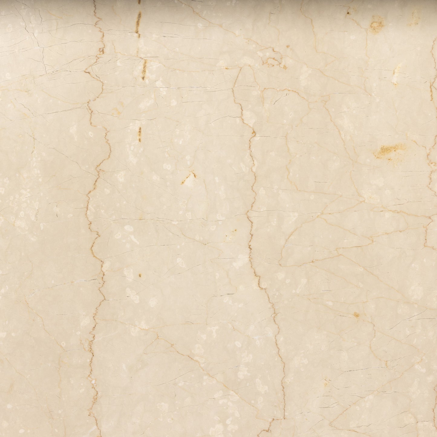 005 SI-1901547 | Additional Silo | Arum Dining Table by Four Hands in cream marble. Made from solid marble in a coastal style.