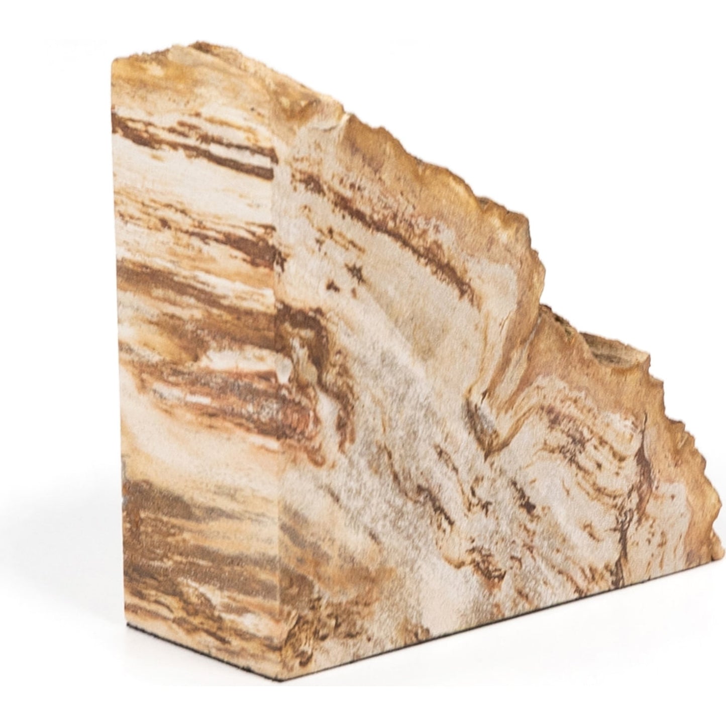 010 SI-1799941 | Additional Silo | Petrified Wood Book Ends by Four Hands in light petrified wood. Made from petrified wood in a coastal style.