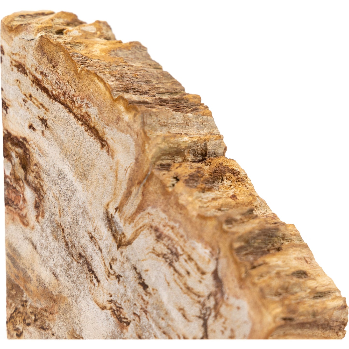 011 SI-1799941 | Additional Silo | Petrified Wood Book Ends by Four Hands in light petrified wood. Made from petrified wood in a coastal style.