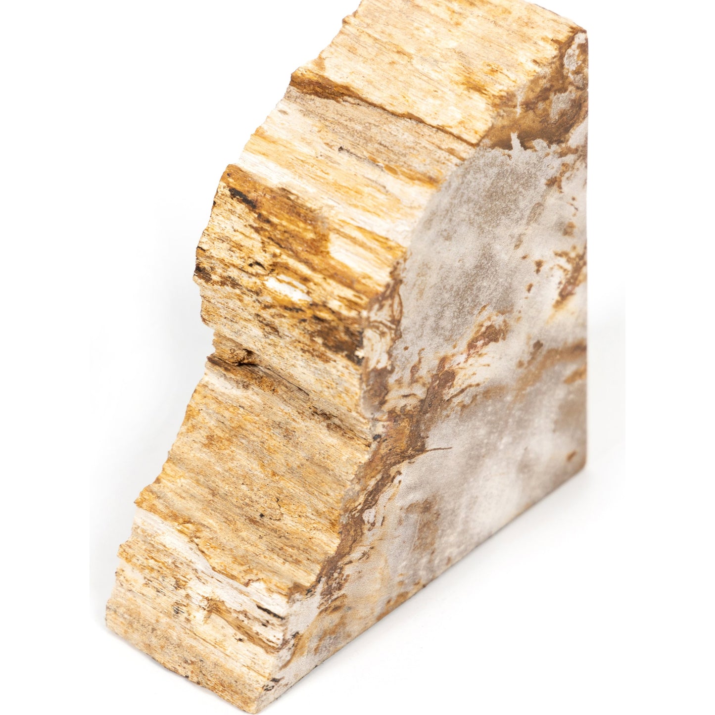 012 SI-1799941 | Additional Silo | Petrified Wood Book Ends by Four Hands in light petrified wood. Made from petrified wood in a coastal style.