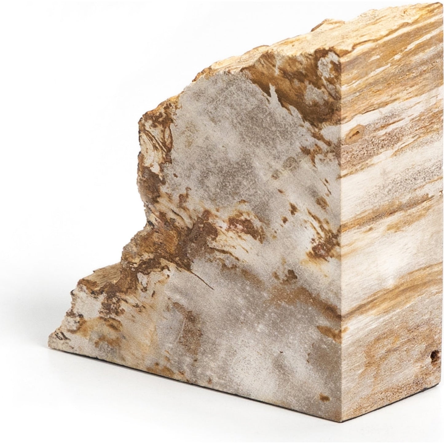 003 SI-1799941 | Additional Silo | Petrified Wood Book Ends by Four Hands in light petrified wood. Made from petrified wood in a coastal style.