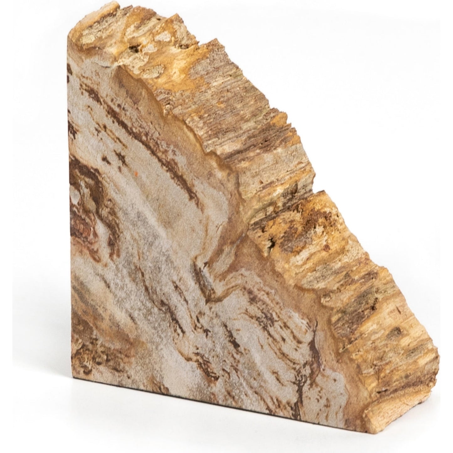 004 SI-1799941 | Additional Silo | Petrified Wood Book Ends by Four Hands in light petrified wood. Made from petrified wood in a coastal style.