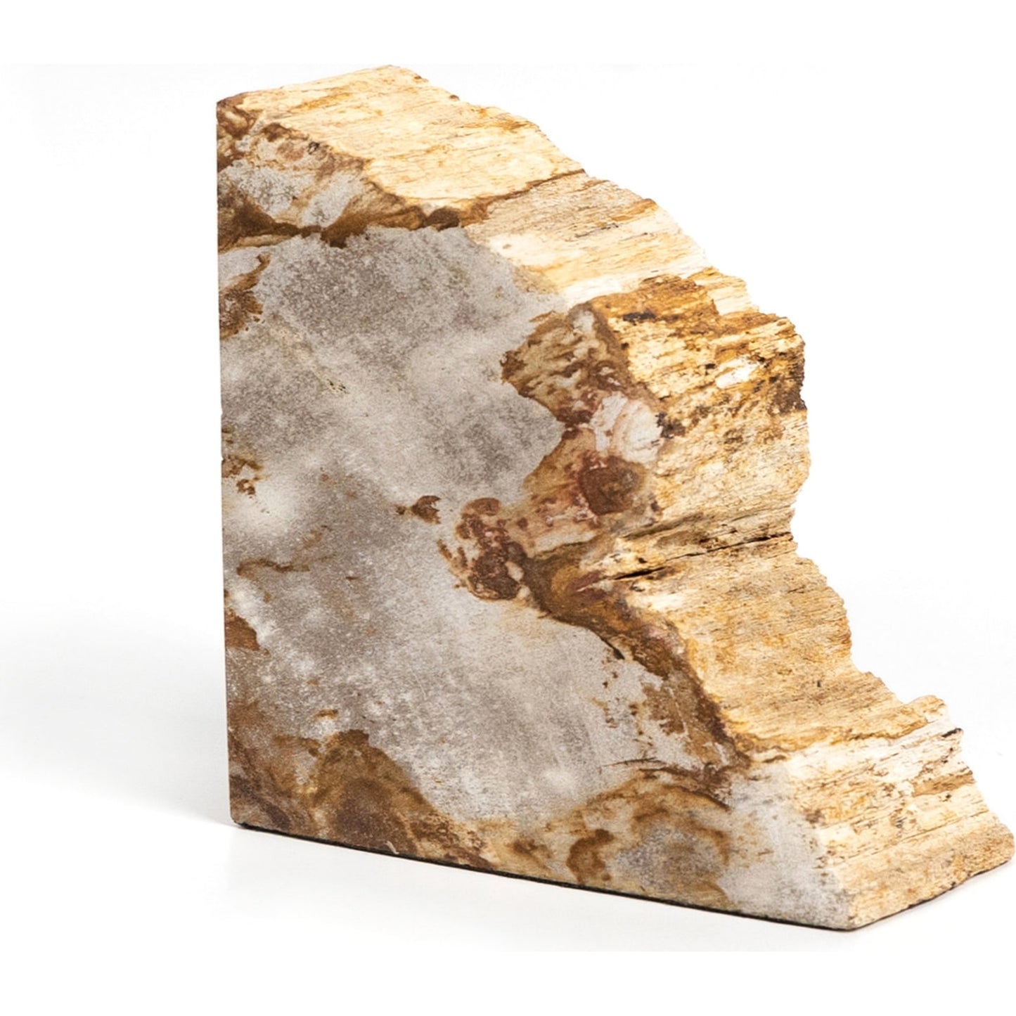 006 SI-1799941 | Additional Silo | Petrified Wood Book Ends by Four Hands in light petrified wood. Made from petrified wood in a coastal style.