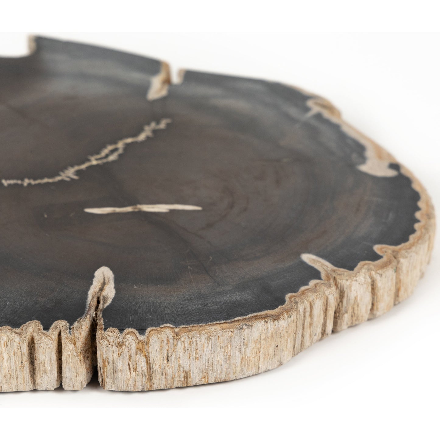 003 SI-1902936 | Additional Silo | Petrified Wood Slab by Four Hands in dark. Made from petrified wood in a transitional style.