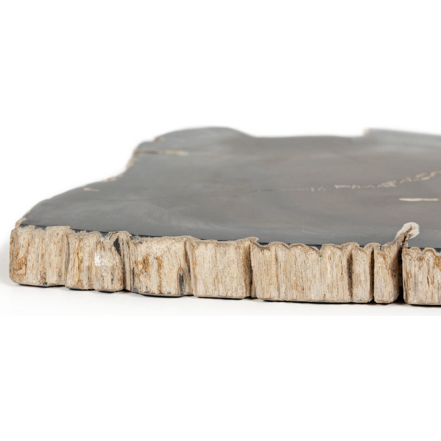 005 SI-1902936 | Additional Silo | Petrified Wood Slab by Four Hands in dark. Made from petrified wood in a transitional style.