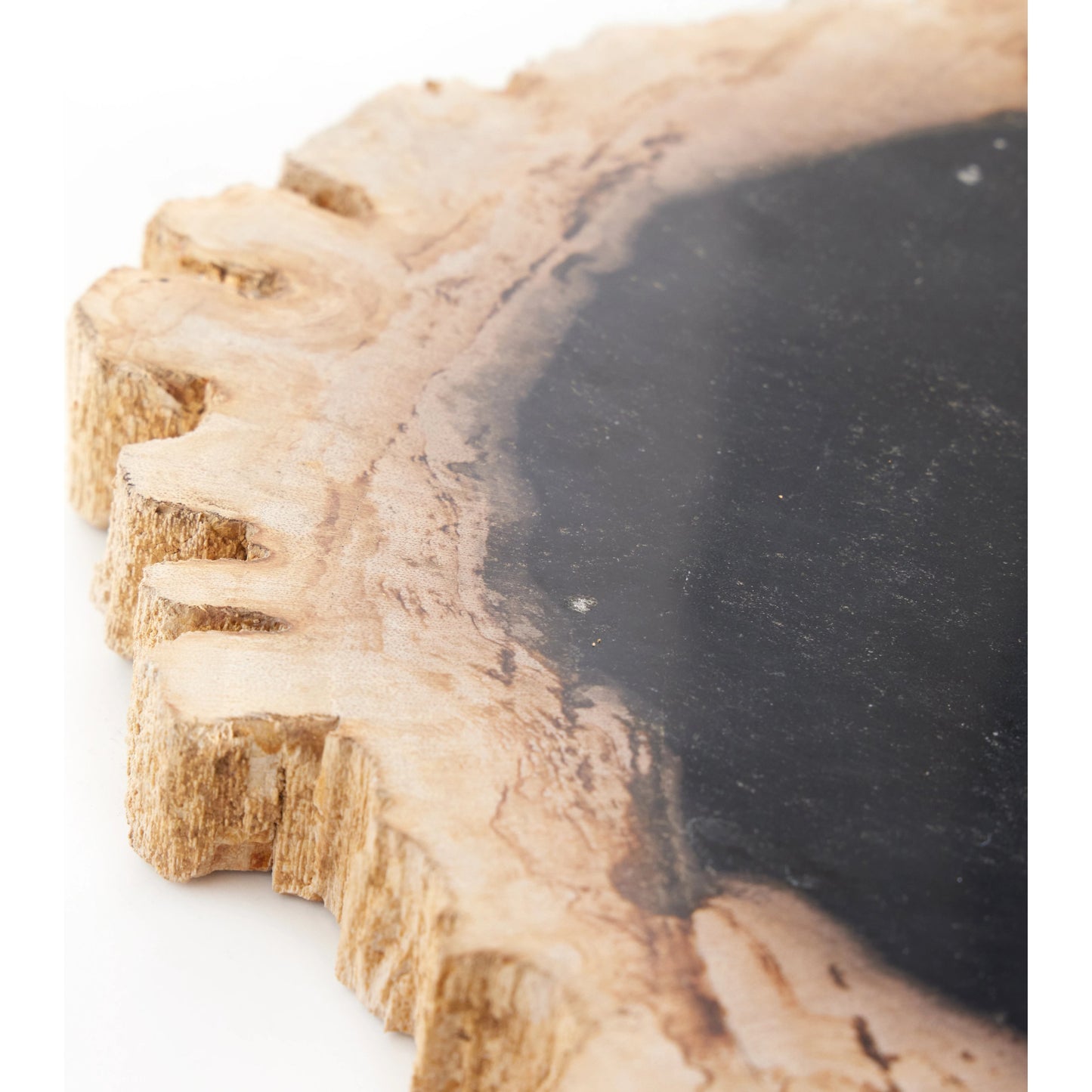 007 SI-1902936 | Additional Silo | Petrified Wood Slab by Four Hands in dark. Made from petrified wood in a transitional style.