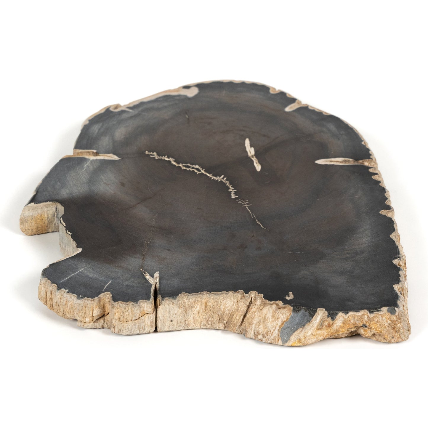 001 SI-1902936 | Primary Silo | Petrified Wood Slab by Four Hands in dark. Made from petrified wood in a transitional style.