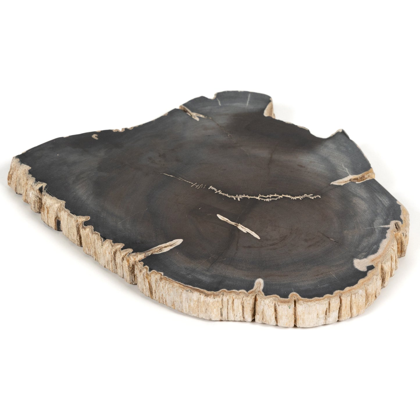 006 SI-1902936 | Additional Silo | Petrified Wood Slab by Four Hands in dark. Made from petrified wood in a transitional style.