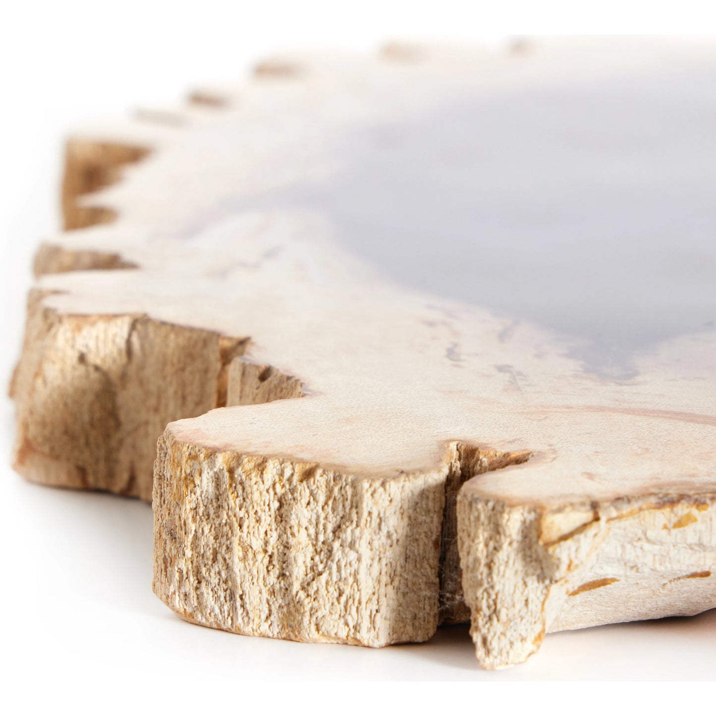 008 SI-1902936 | Additional Silo | Petrified Wood Slab by Four Hands in dark. Made from petrified wood in a transitional style.