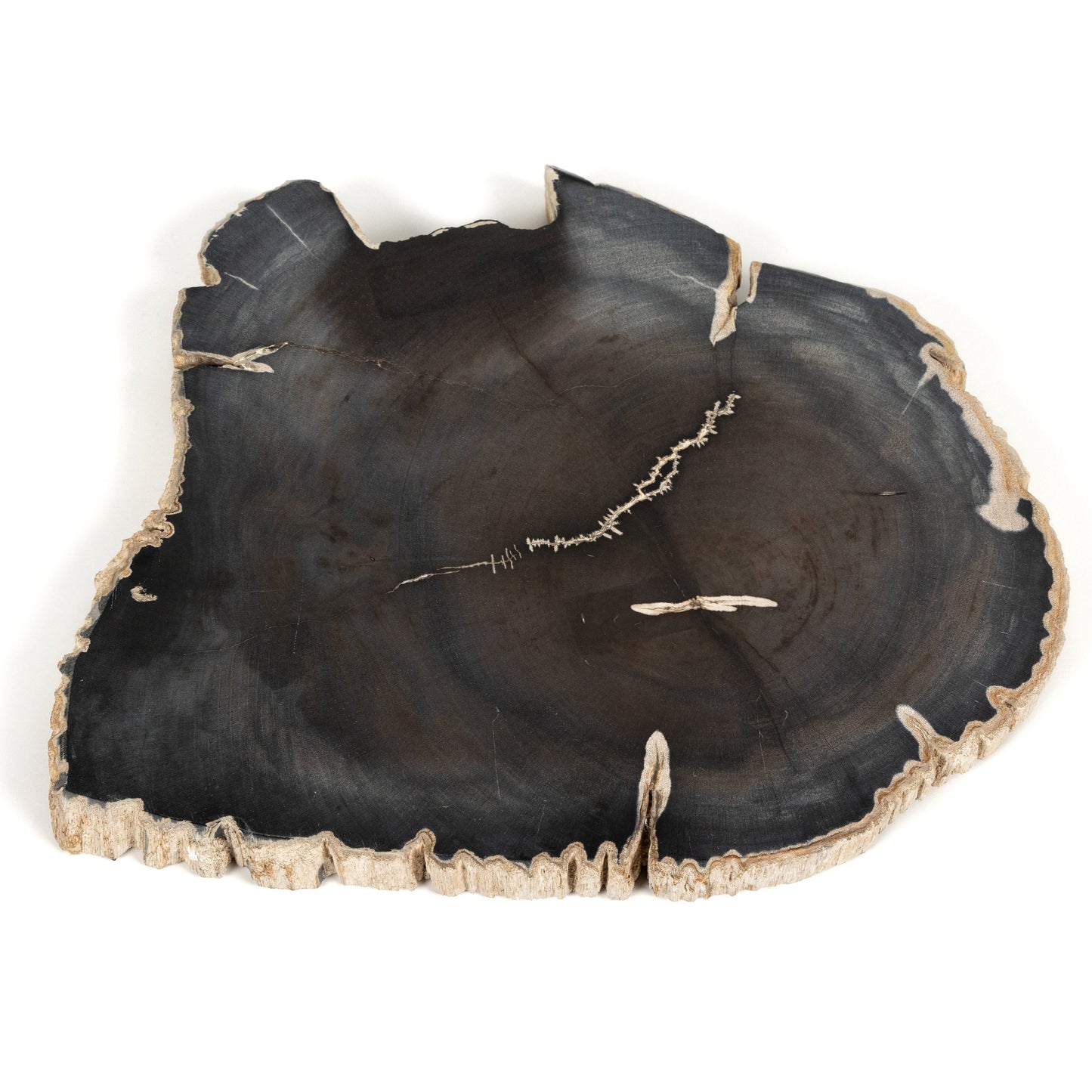 002 SI-1902936 | Additional Silo | Petrified Wood Slab by Four Hands in dark. Made from petrified wood in a transitional style.
