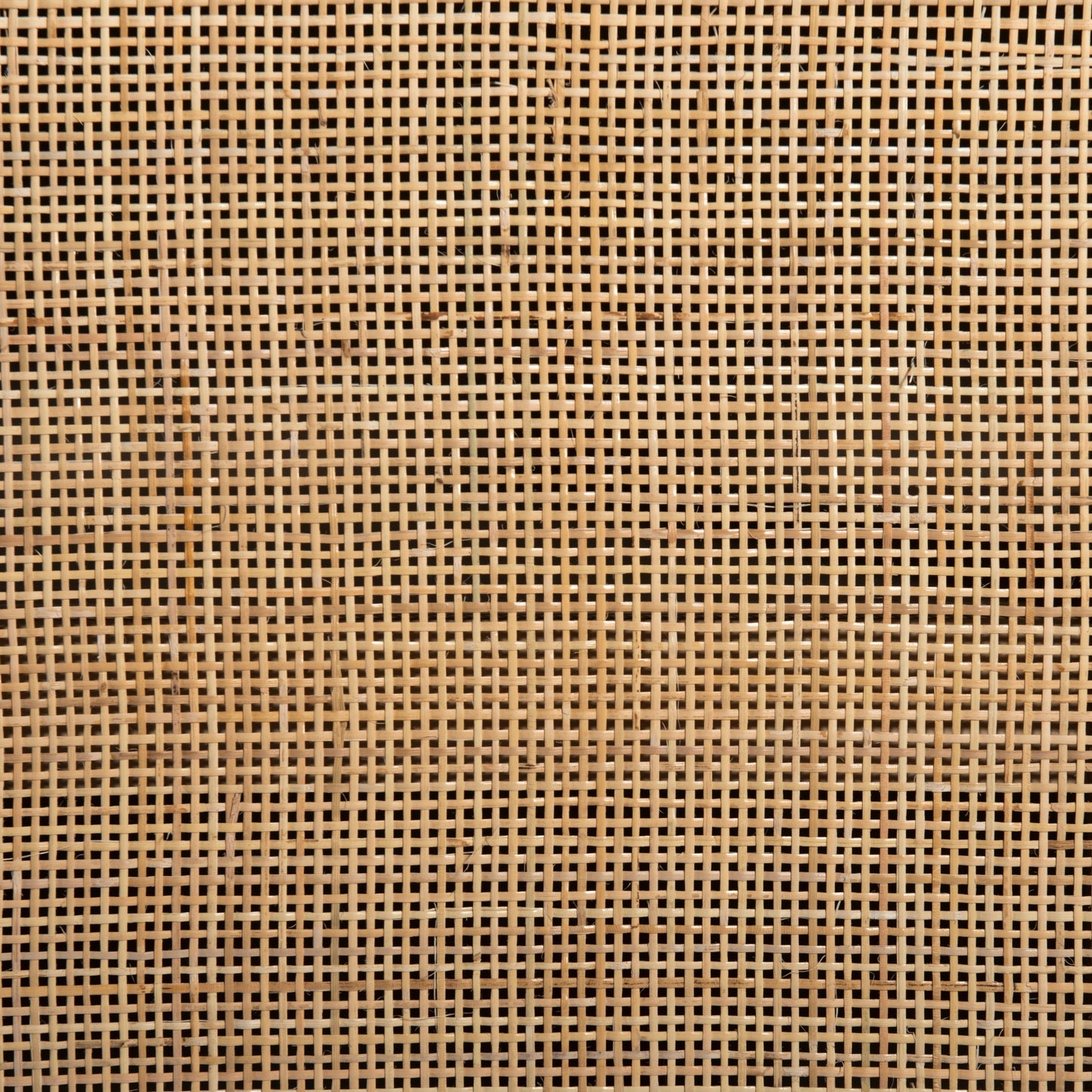 006 SI-1980284 | Additional Silo | Caprice Wide Bookshelf by Four Hands in natural mango, gunmetal, natural cane and natural mango. Made from solid mango, iron in a modern style.