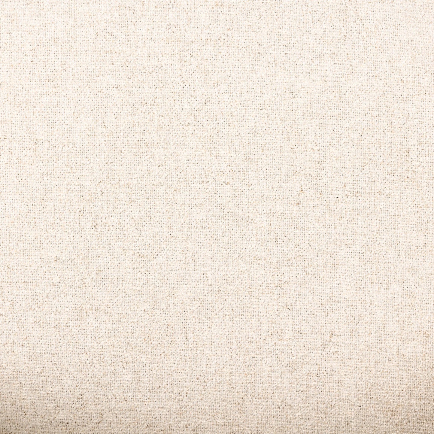 023 SI-2137161 | Closeup | Amur Dining Armchair by Four Hands. Made from unique in a modern style.