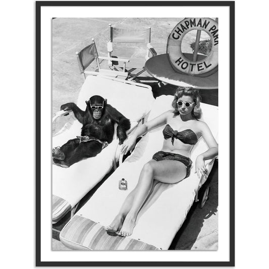 Woman Sunbathing with Chimpanzee by Getty Images by Four Hands in black maple. Made from black 2.5 maple, photo paper in a modern style.