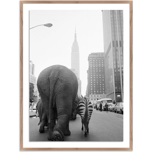001 SI-2091252 | Primary Silo | Circus Animals on 33RD St by Getty Images by Four Hands. Made from acrylic glazing in a modern style.